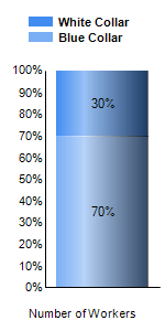 Chart6