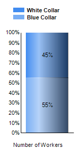 Chart6